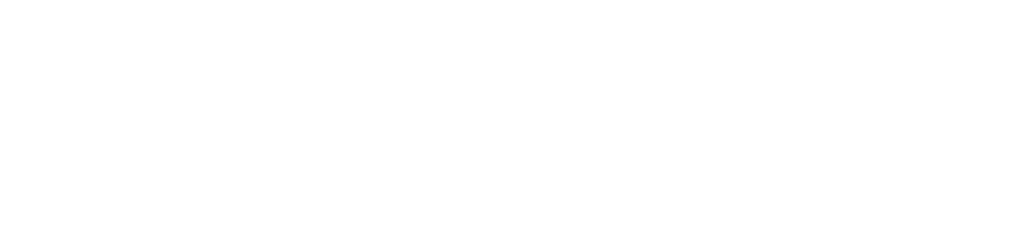 Bert Farina Constructions Logo